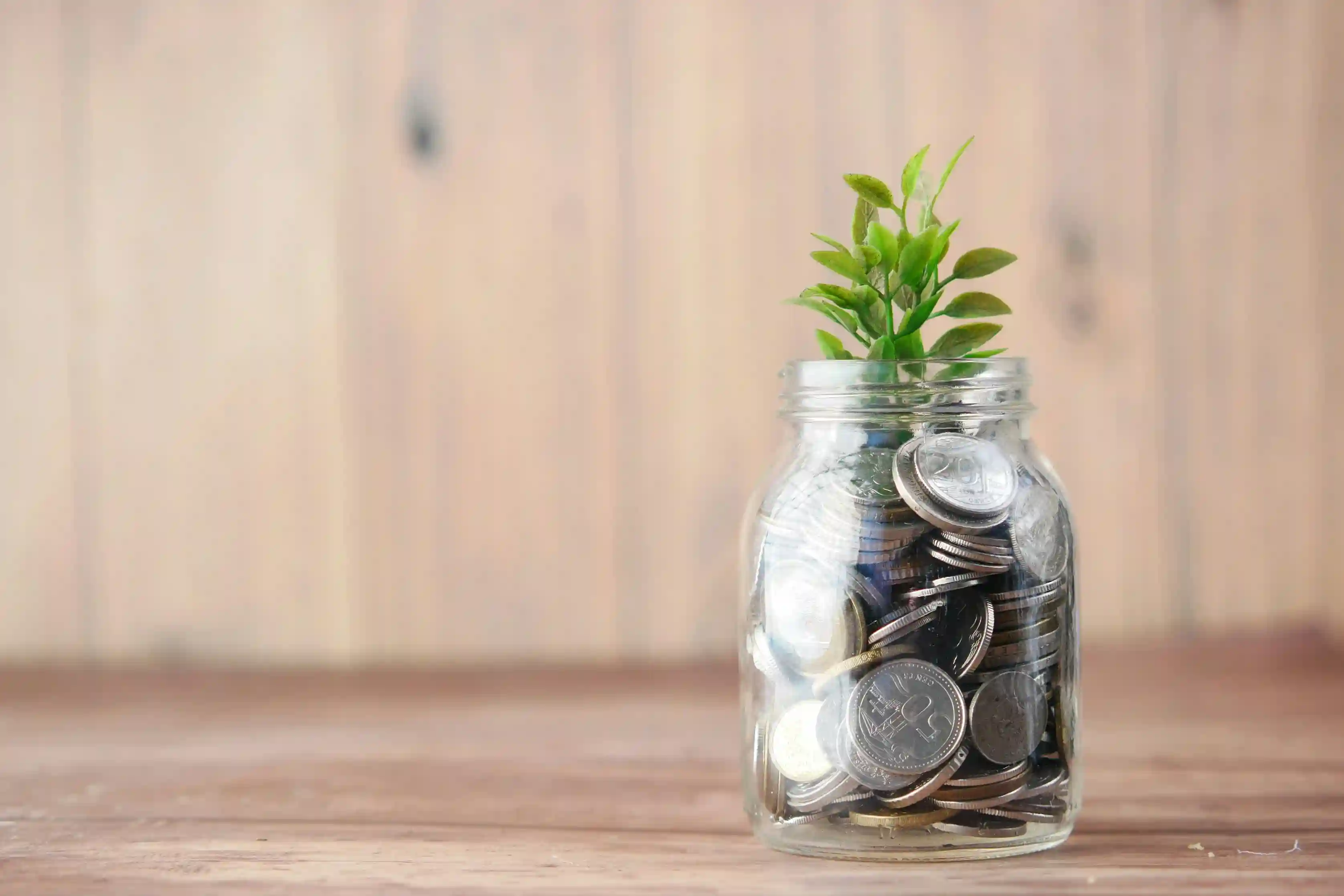 Market Entry Strategy